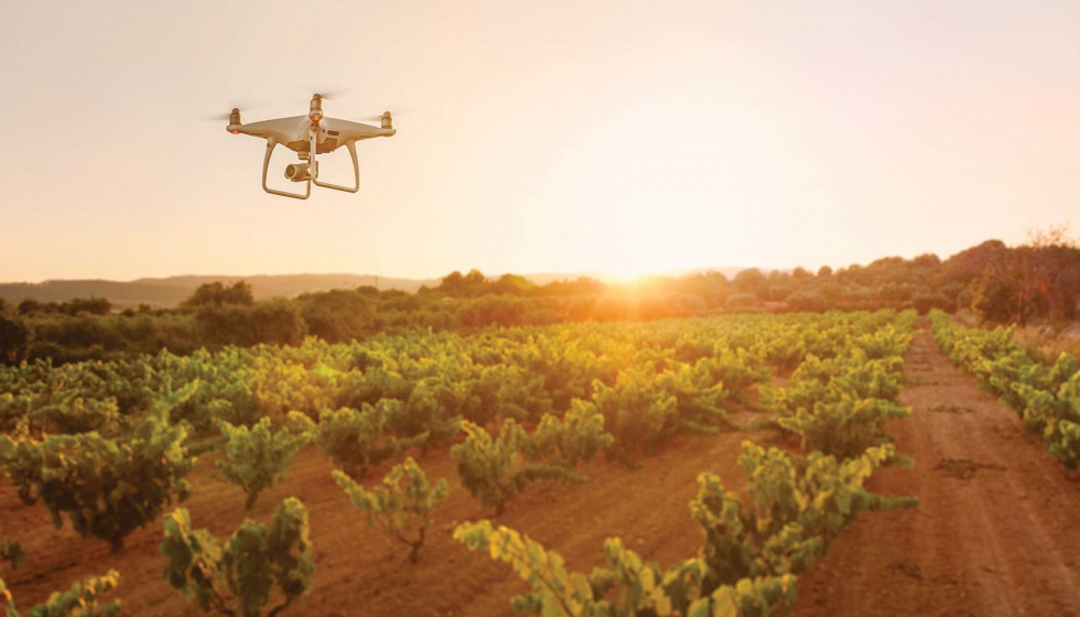 Atos lleva la Inteligencia Artificial mediante imgenes de drones y satlites a bodegas de Ribera del Duero para mejorar la produccin y calidad de...