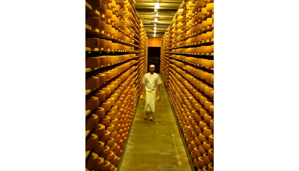 En la elaboracin del vino, el queso, el yogur y la pasta agria se emplean procesos microbiolgicos para obtener productos consumibles...