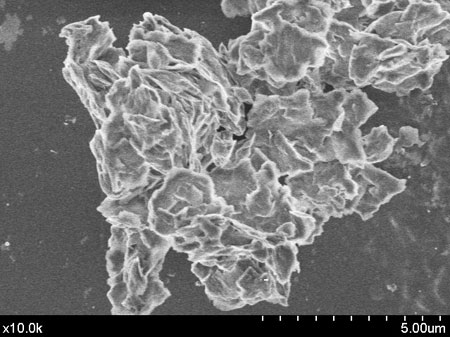 Imagen microscpica del plaguicida encapsulado en arcilla y liposomas de lictina