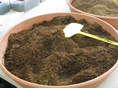 Coconut coir is an ecological alternative to peat