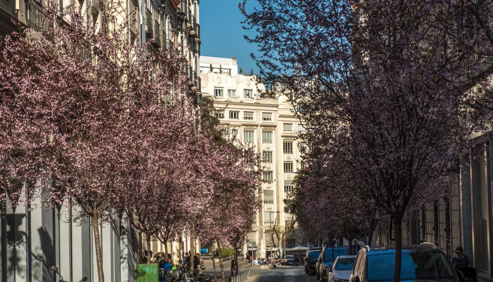 Ms de la mitad de las calles de Madrid estn arboladas con ms de 500 especies de rboles y 800 de arbustos