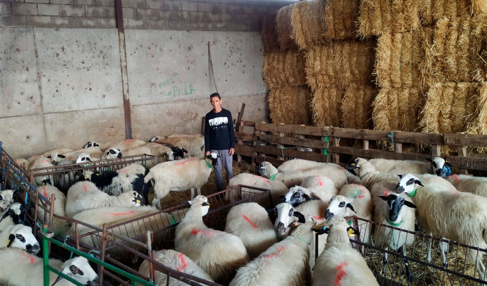El ganadero Vicente Gonz�lez Sierra con el lote de inseminaci�n