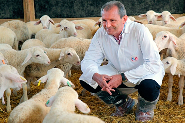 Jos Mara Navarro es una de las caras ms reconocibles del sector de los cebaderos de corderos en Espaa...