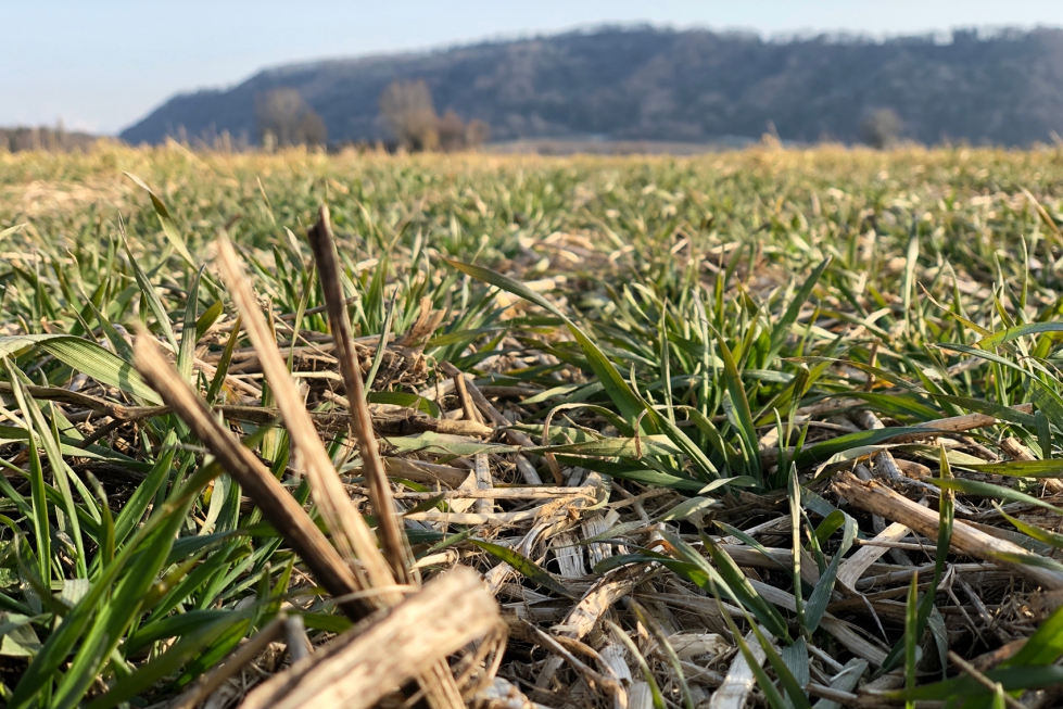 La mayora de los pases que participan en el proyecto comparten caractersticas similares ligadas al sector agrcola