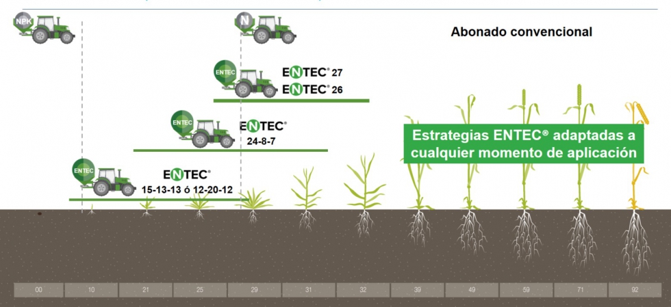 Figura 2. Diferentes estrategias de abonado con los fertilizantes ENTEC que permiten hacer un uso eficiente del nitr�geno...