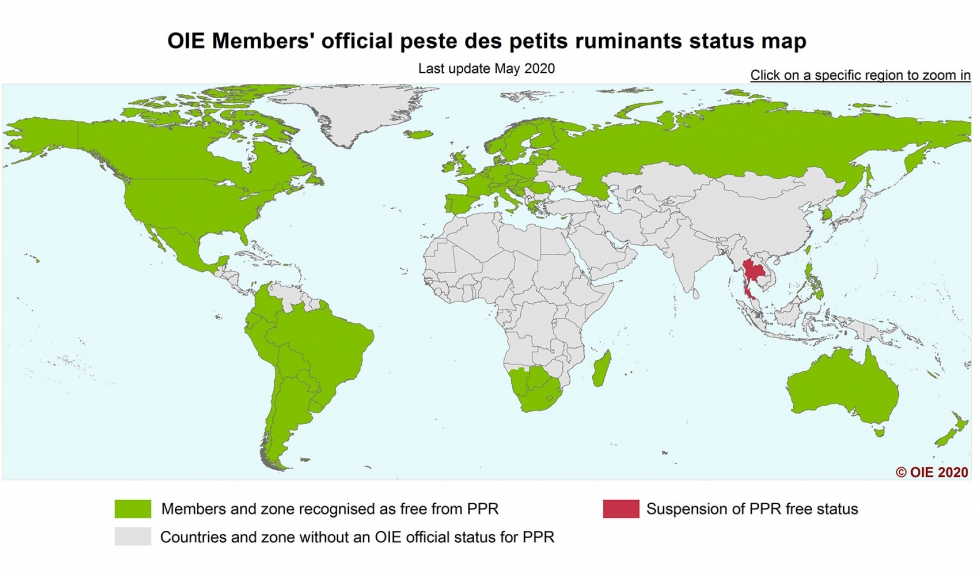 Mapa de la OIE con el estatus de los pa�ses respecto a la peste de los peque�os rumiantes