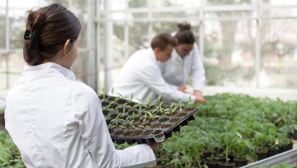 Ms del 42% de las ingenieras agrnomas colegiadas del Colegio Oficial de Ingenieros Agrnomos de Centro y Canarias vive en el mbito rural...