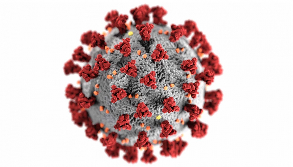 El consorcio internacional COVID19-NMR quiere desentraar la estructura interna del coronavirus