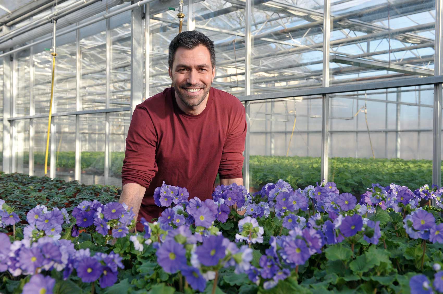 Floragard lleva dcadas innovando en el desarrollos de substratos especializados para la horticultura profesional