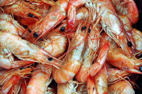 The Irta is currently working on the feasibility of the Palams prawn packaged in controlled atmospheres and without preservatives...