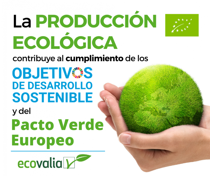 La produccin ecolgica cada vez est ms presente en la agenda de la Unin Europea