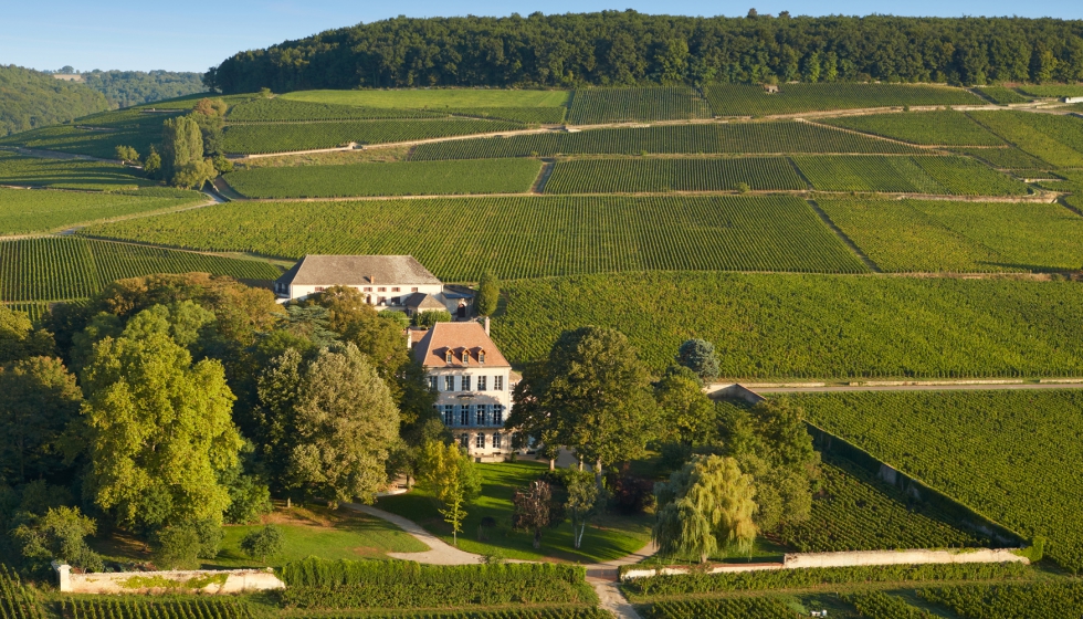 La Borgoa es una de las zonas productivas ms importantes del mundo del vino