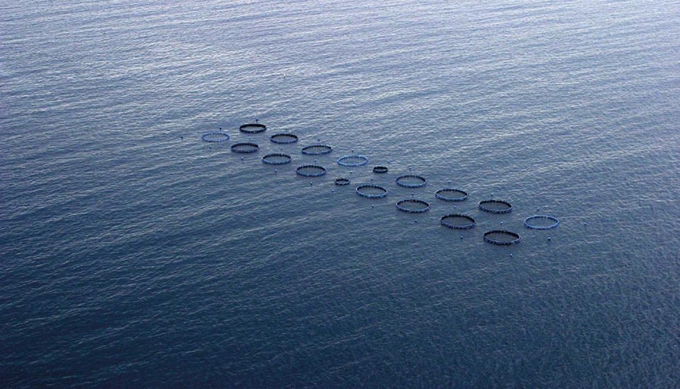 En la actualidad m�s del 95% de la producci�n espa�ola de acuicultura marina, salvo la miticultura, est� integrada en Apromar...