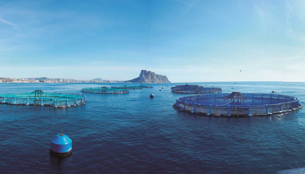 Pueden integrarse en Apromar las empresas productoras de especies animales o vegetales de cultivos marinos con actividad en Espa�a...