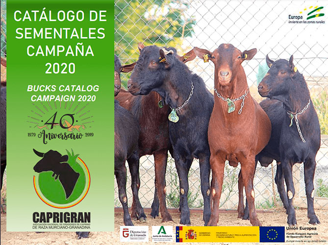 Imagen del �ltimo Cat�logo de Sementales de Caprigran