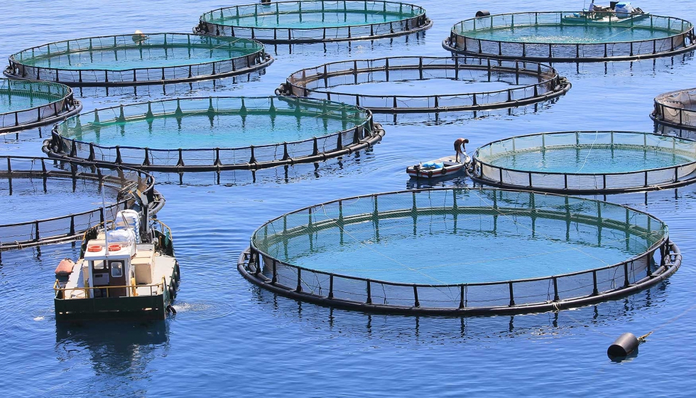 La acuicultura podra producir el 44% de la carne procedente del mar