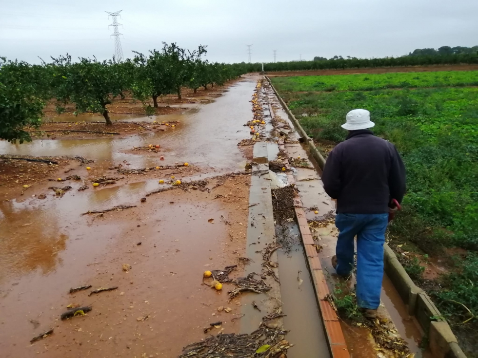Las lluvias arrasaron la Ribera Baixa y Ribera Alta y fueron positivas para el resto de zonas