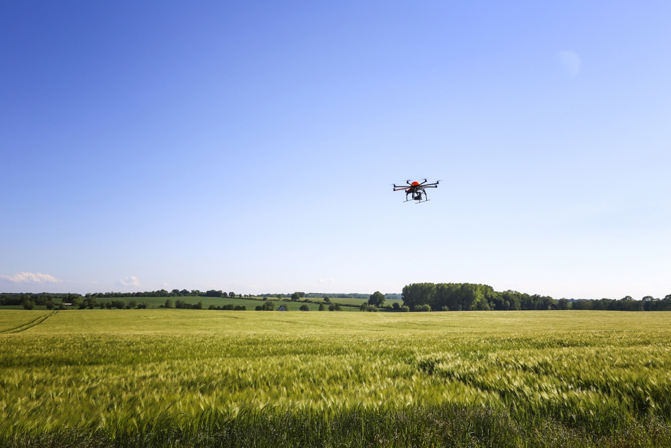 Un dron durante un vuelo para supervisar un campo de ensayo de BASF