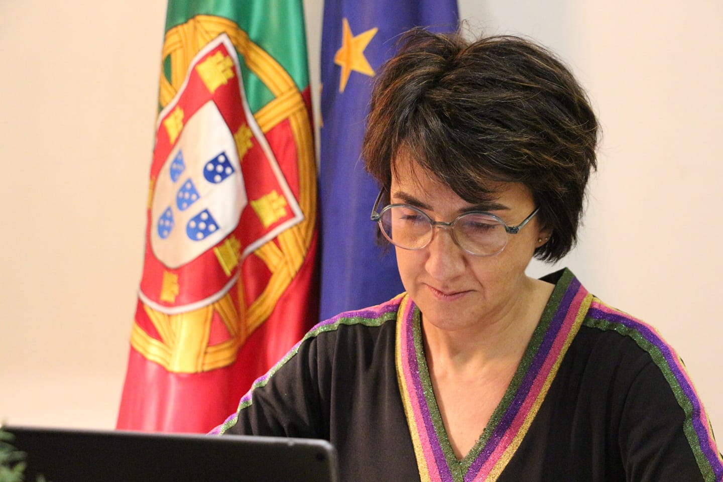 Portugal e Espanha esto a trabalhar aos nveis tcnico e poltico para discutirem o que esto a propor aos agricultores de cada pas no domnio do...