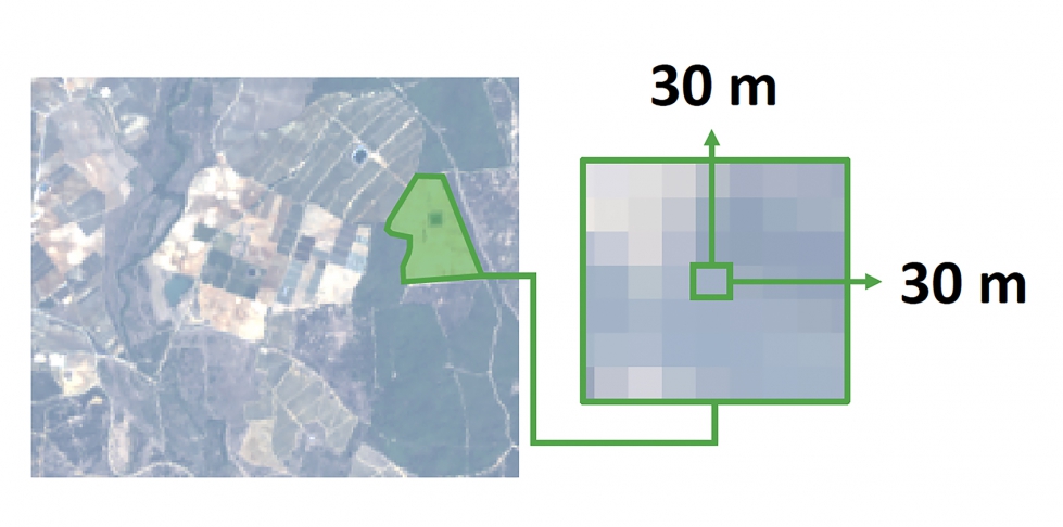 Figura 2. Detalle de un pixel de 30x30 del sat�lite Landsat 8