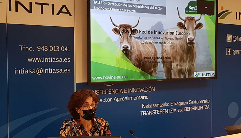 INTIA organiz un taller para detectar las necesidades del sector bovino de carne en Navarra