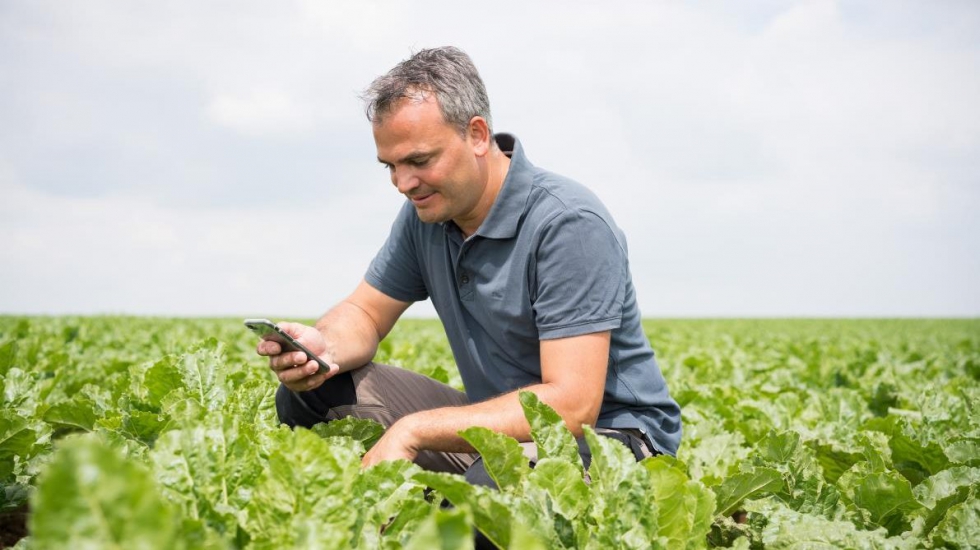 xarvio Digital Farming Solutions ofrece productos digitales que proporcionan asesoramiento agronmico, independiente y especfico...