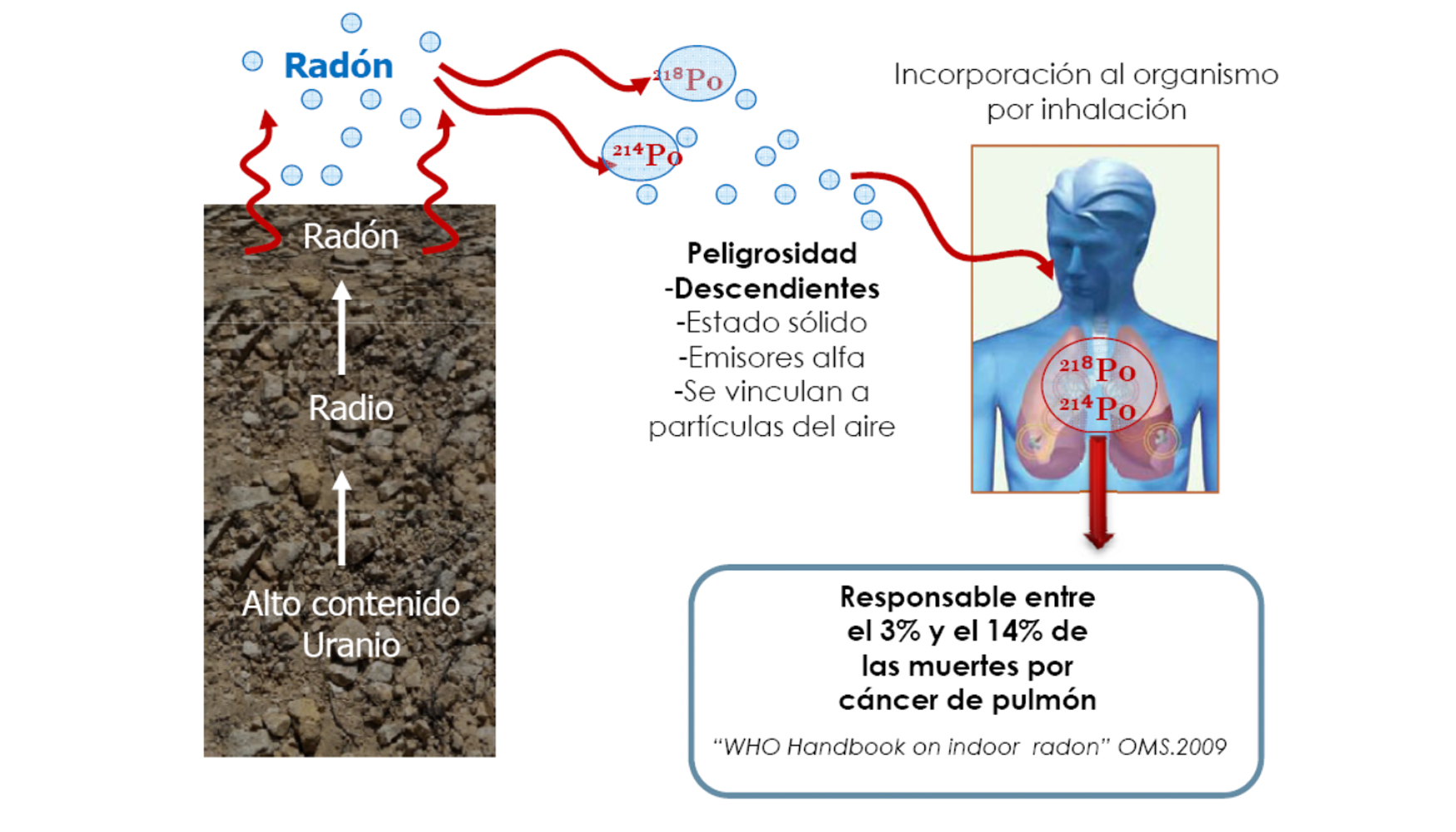 Figura 1. Esquema del origen del radn y su peligro para la salud. Fuente: CSN, 2013