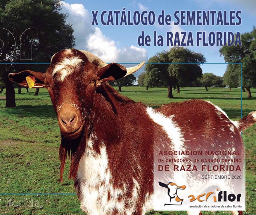 Portada del Cat�logo de raza Florida