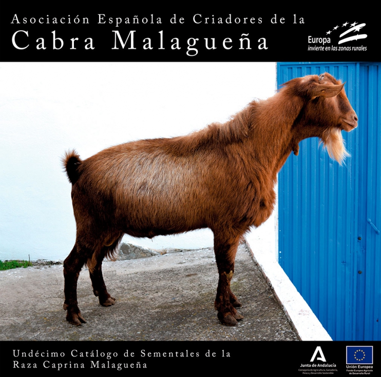 Portada del Cat�logo de Malague�a
