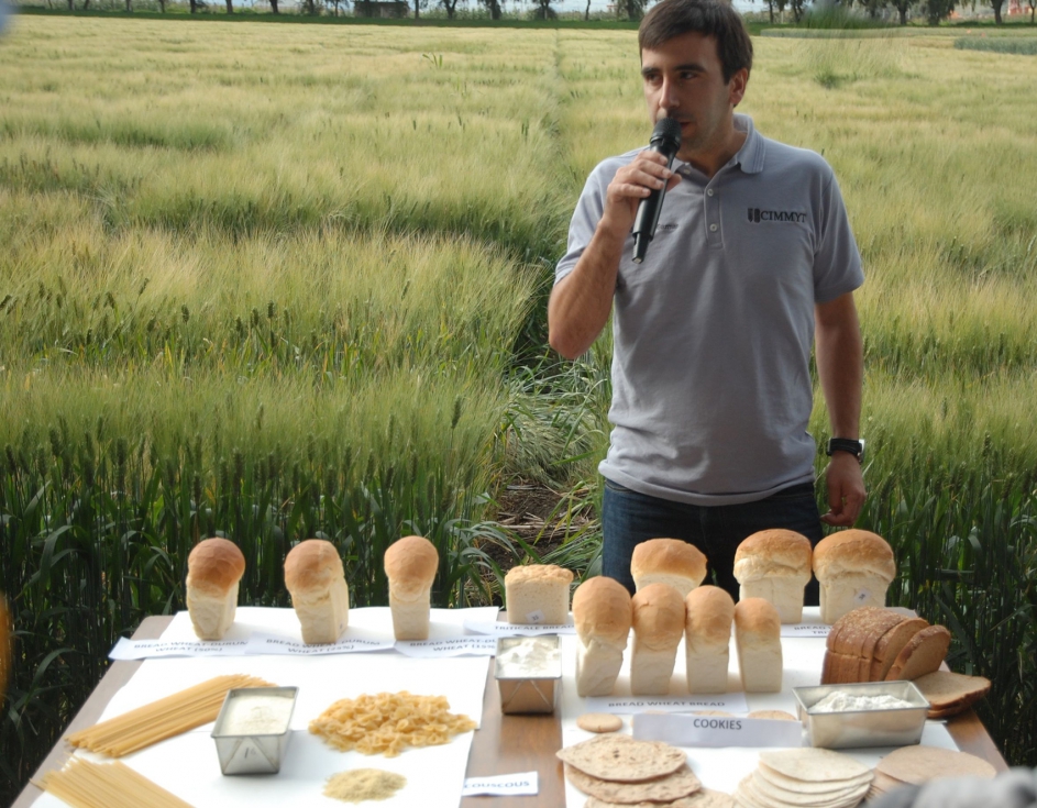 El investigador de la Universidad de Crdoba, Carlos Guzmn, durante su estancia profesional en el CIMMYT de Mxico