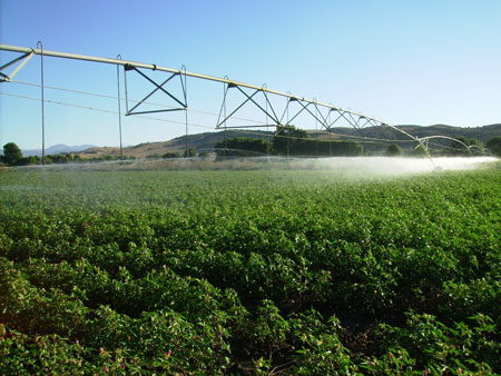 Climate change affects directly the irrigation, and is why it is so important to the development of sustainable systems