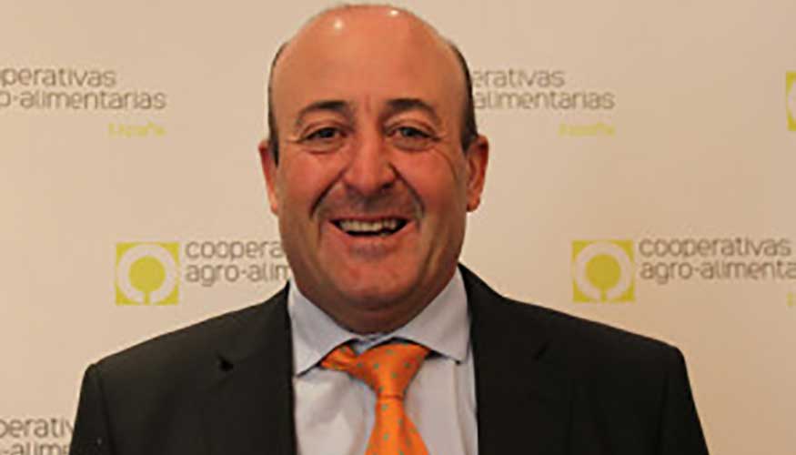 Fernando Ezquerro, presidente sectorial de Vino de Cooperativas Agro-alimentarias de Espaa