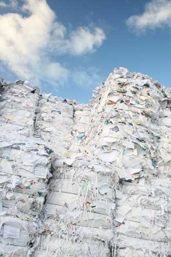 En la produccin de papel reciclado se consumen menos recursos naturales. Foto: Tim Meijer