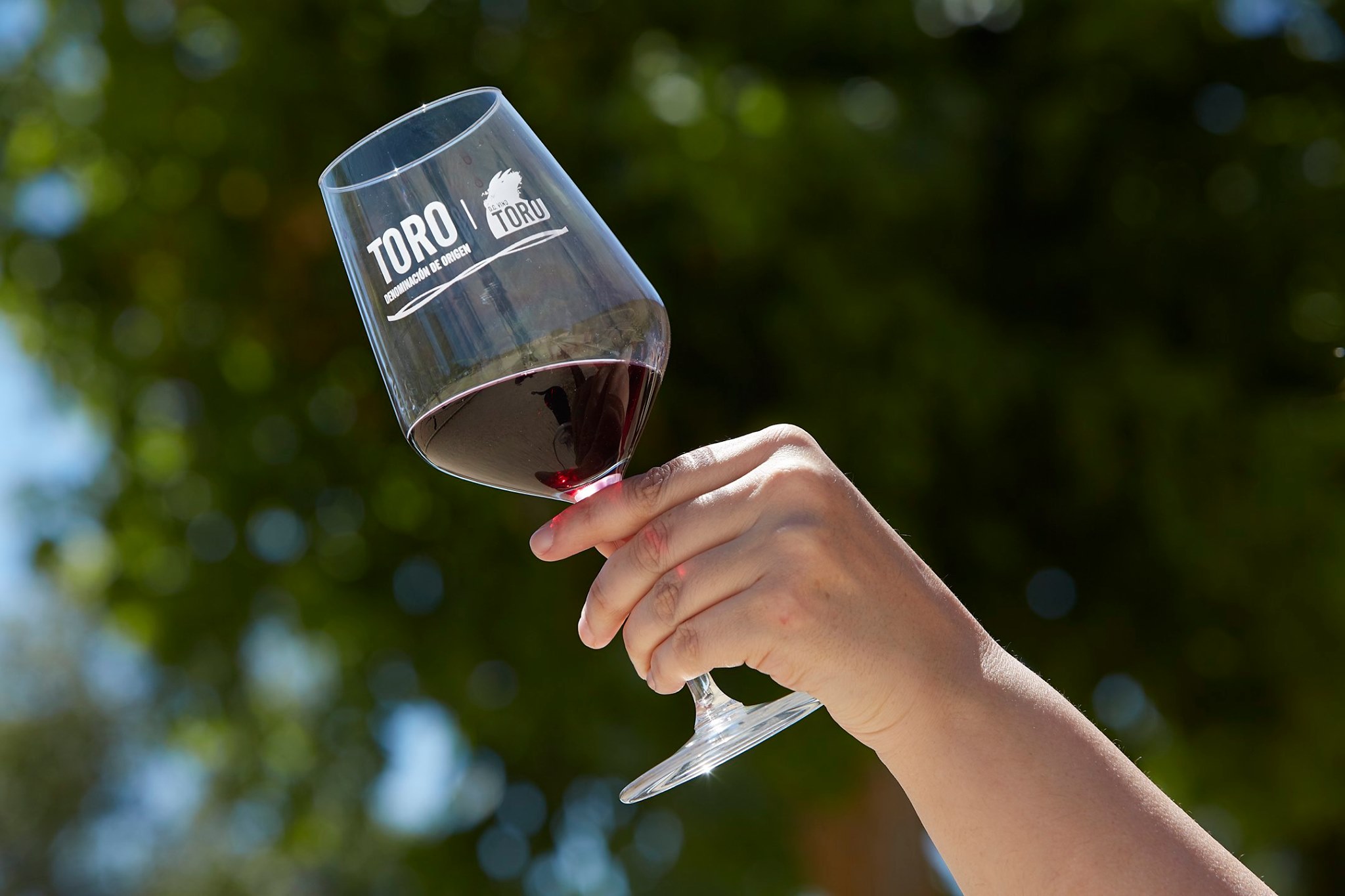 Brindis con una copa de la DO de Toro