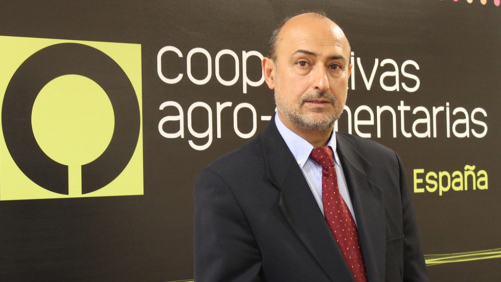 Agustn Herrero, director general de Cooperativas Agroalimentarias de Espaa 
