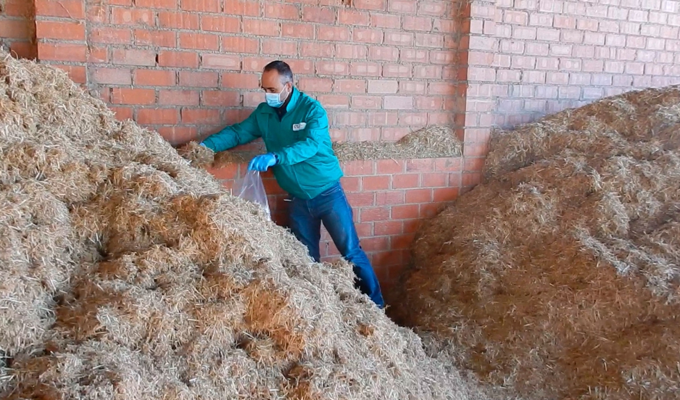 Foto 2. Toma de muestras de henos y raciones a base de forraje