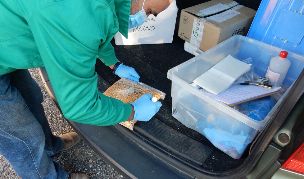 Foto 5. Identificaci�n y etiquetado de las muestras recogidas