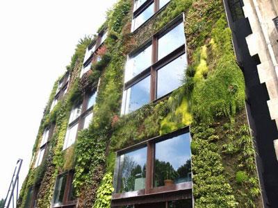 Jardn vertical de Patrick Blanc en el Muse des Arts Premiers Quai Branly, de Pars