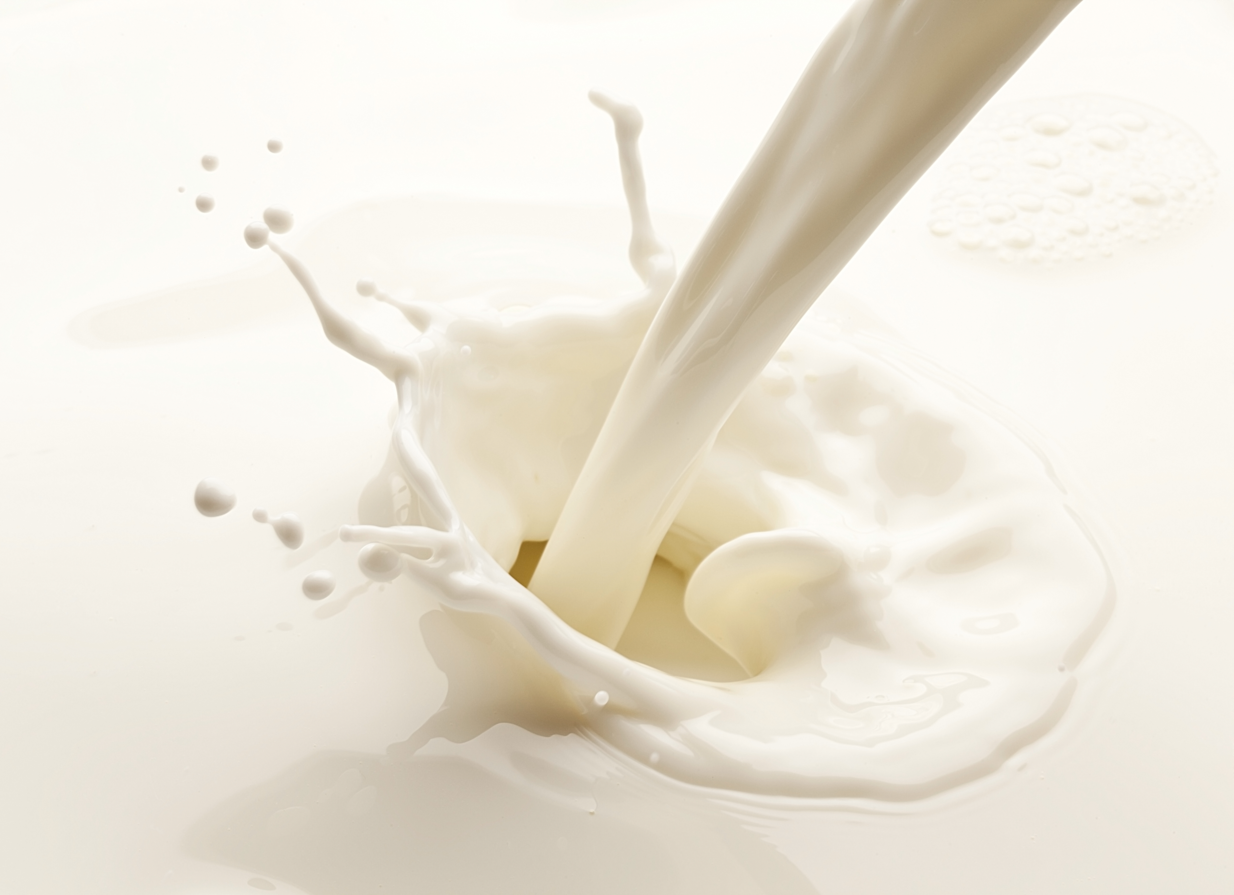 Imagen de un chorro de leche de vaca vertindose en un recipiente