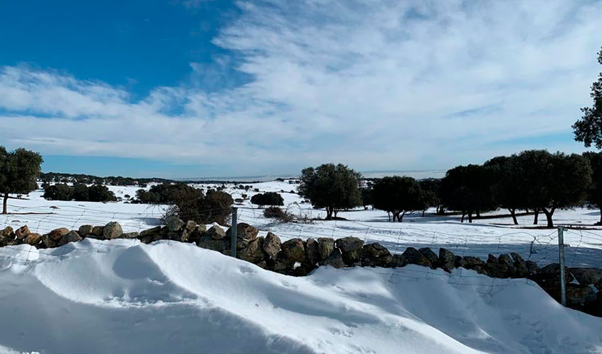 Paraje nevado en Colmenar Viejo (Madrid)