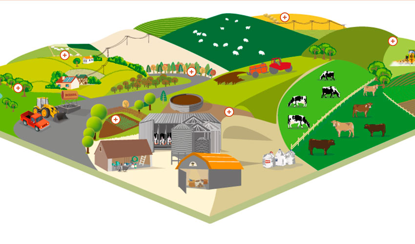 Modelo de granja en la web de Alltech E-CO2 para conocer las emisiones de una granja de rumiantes