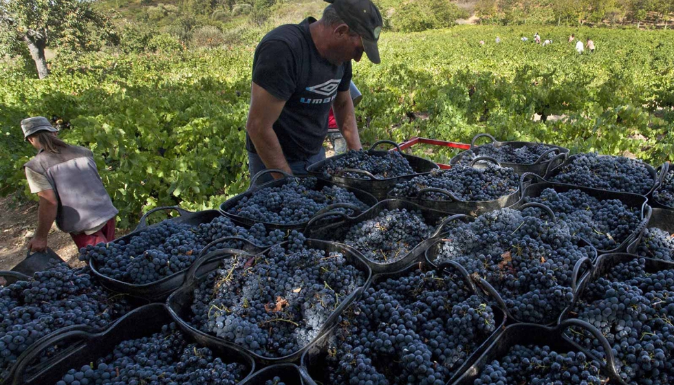 Esta acreditacin refuerza el compromiso de garanta de calidad de la Denominacin de Origen y de su bodegas de acuerdo al ms exigente sistema de...