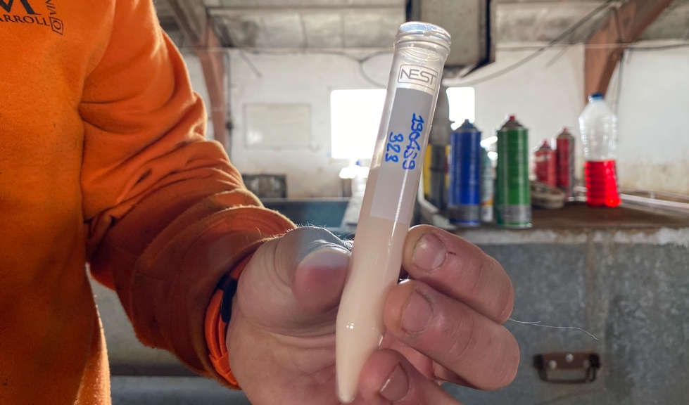 Muestra del calostro de una oveja reci�n parida