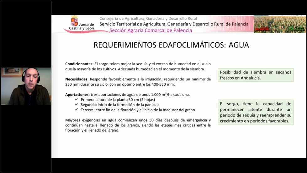 Toms Marcos hablando de los requerimientos edafolgicos del sorgo en un ensayo realizado en Palencia