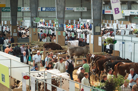 Rennes se convertir del 15 al 18 de septiembre en la capital mundial del ganado