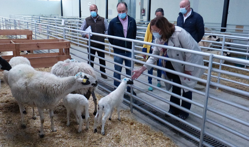 Visita institucional a la edicin de 2020 de la Feria Churra