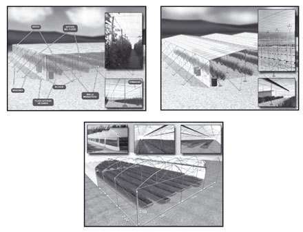 Figure 1: Types of greenhouse structures: flat (above), the zest and amagado ' symmetric (Center) and multitunnel (below)...