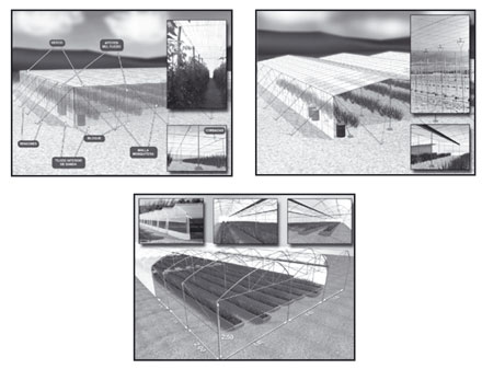 Figura 1: Tipos de estructuras de invernadero: plana (arriba), raspa y amagado simtrico (centro) y multitnel (abajo)...
