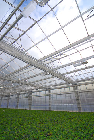 Need to improve the climate control of greenhouses will probably lead to greater use of structures with good ventilation and allowing the alternative...