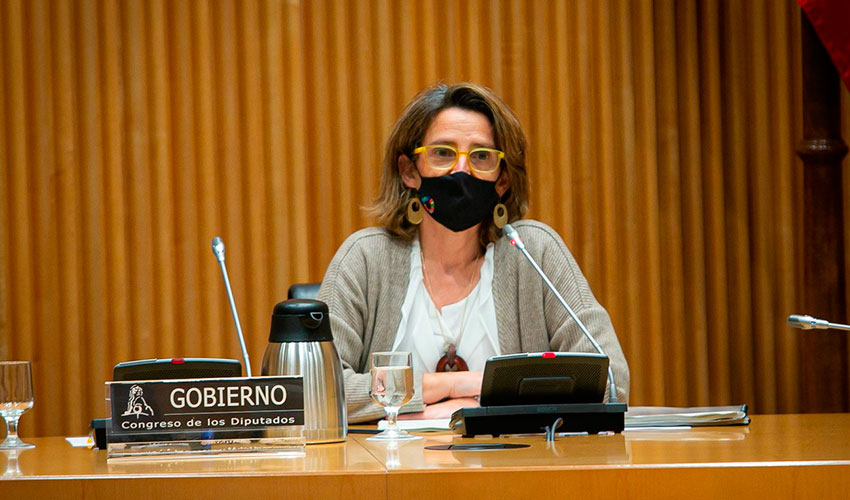 Teresa Ribera, ministra de Transicin Ecolgica y Reto Demogrfico